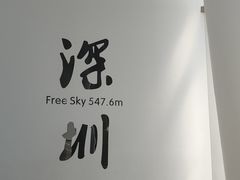 -平安金融中心云际观光层