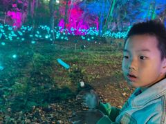 -吉林市朱雀山国家森林公园