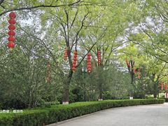-大槐树寻根祭祖园