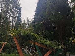 -东平国家森林公园