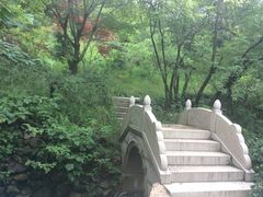 -石老人观光园