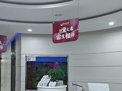 -雅悦齿科(顾村公园店)