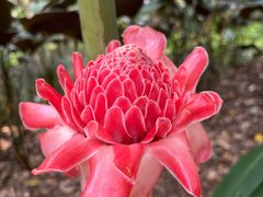 -中国科学院西双版纳热带植物园