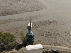 -福田红树林生态公园