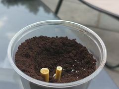 -Fulu Coffee福禄(花园城店)