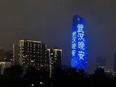 -武汉知音号