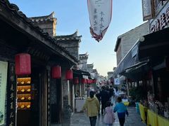 -合肥滨湖国家森林公园