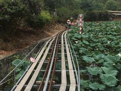 -红山村