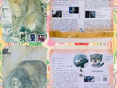 -青藏高原野生动物园