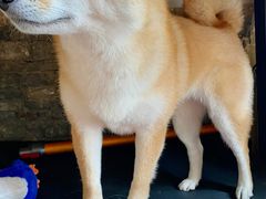 -About Bistro關於·泰式家庭料理