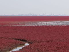 -红海滩国家风景廊道