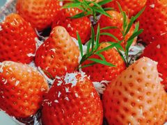 -Dark Horse·黑马蛋糕·低脂·低糖淡奶(金匙望湖大厦店)