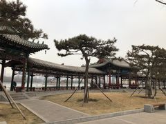 -迎泽公园