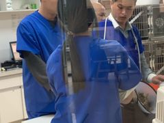 -伟伟宠物医院·瑞派猫友好医院·猫科(光谷店)