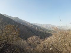 -北京鹫峰国家森林公园