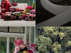 -云溪植物园