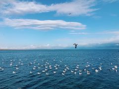 -青海湖国家重点风景名胜区