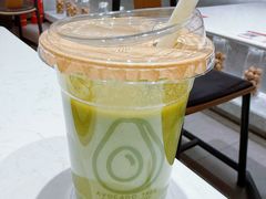-油梨树 AVOCADO TREE(亮马桥店)