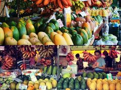 -南沙十九涌渔人码头-南门