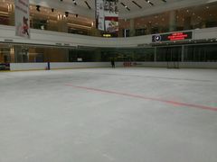 -陈露国际冰上中心(天津嘉里汇店)