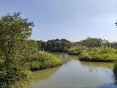 -梁鸿国家湿地公园