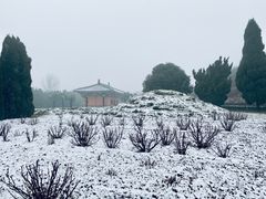 -洛阳古墓博物馆