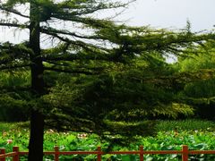 -东升八家郊野公园