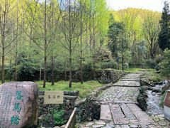 -仙霞关景区