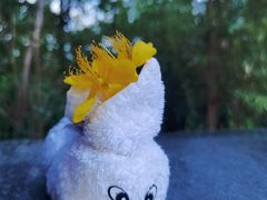 -天目湖涵田半山温泉