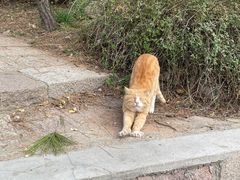 -贮水山儿童公园