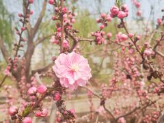 -元大都城垣遗址公园