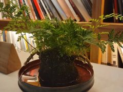 -稍可轩博物馆餐厅