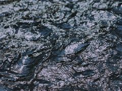 -九曲溪竹筏码头