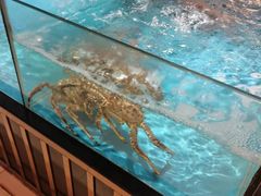 水产区-都市阳光海鲜城(青山湖店)