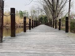 -溱湖国家湿地公园