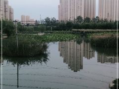 -前关湿地公园