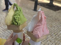 -柠檬车露(卖草地店)