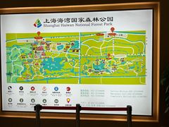 -上海海湾国家森林公园