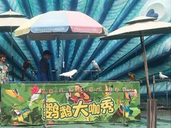-灵玲国际马戏城