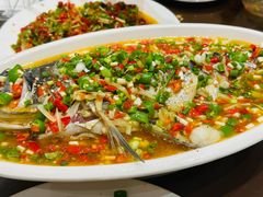 飞虹鱼-飞虹鱼馆(春华路店)