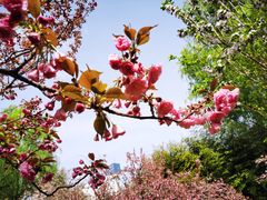 -莲花池公园