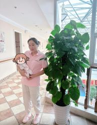 -童谣里医疗级月子中心(独栋湖景店)