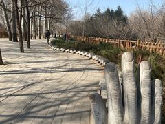 -北京麋鹿生态实验中心