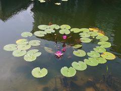 -星巴克(深圳前海企业公馆店)