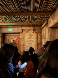 -翱翔飞越地平线