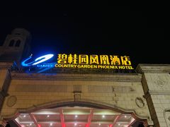 -重庆长寿碧桂园凤悦凤凰酒店