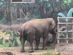 -西安秦岭野生动物园