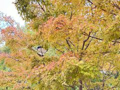 -苏州河梦清园环保主题公园