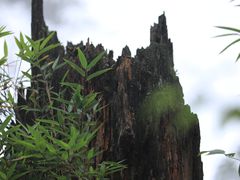 -瓦屋山景区