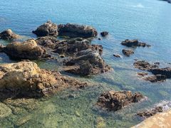 -大连老虎滩海洋公园